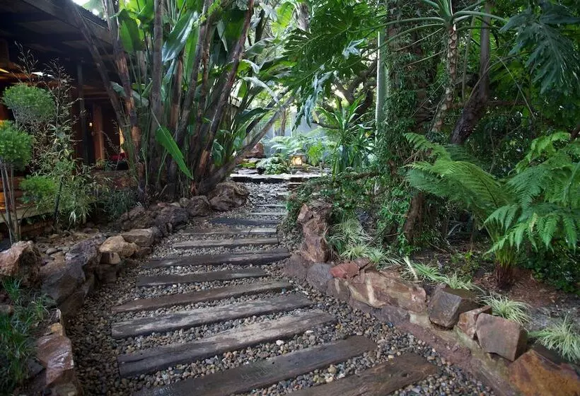 Fotos del hotel Illyria House:  12