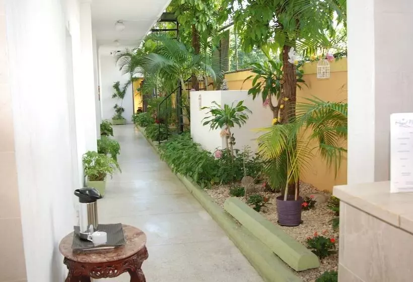 Fotos del hotel Royal Palace:  15