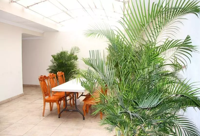 Fotos del hotel Terranova:  9