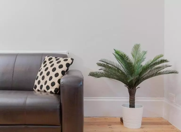 Fotos del hotel Camera Guesthouse:  12