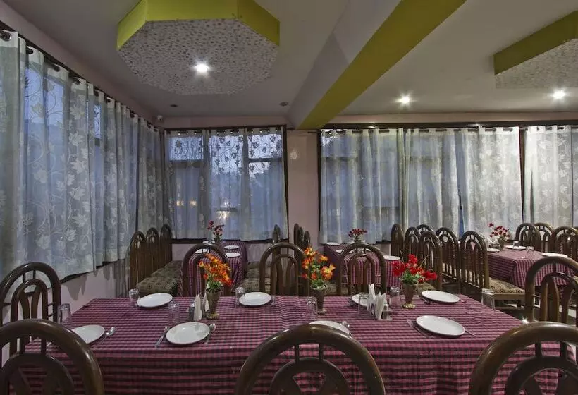 Fotos del hotel Hotel Sitara International:  15