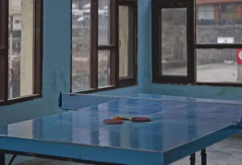 Fotos del hotel Hotel Sitara International:  11