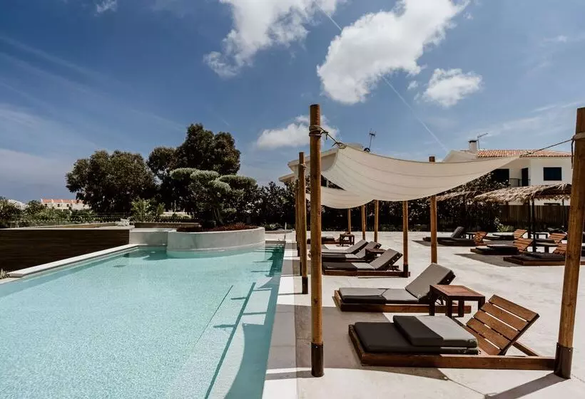 Fotos del hotel Cavo Zoe Seaside:  17