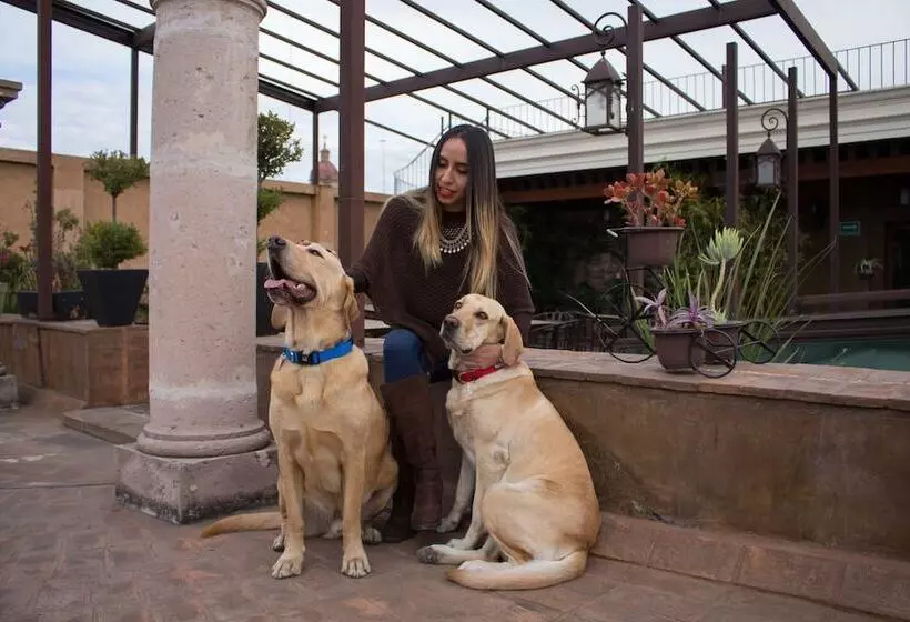 Fotos del hotel Historia:  6