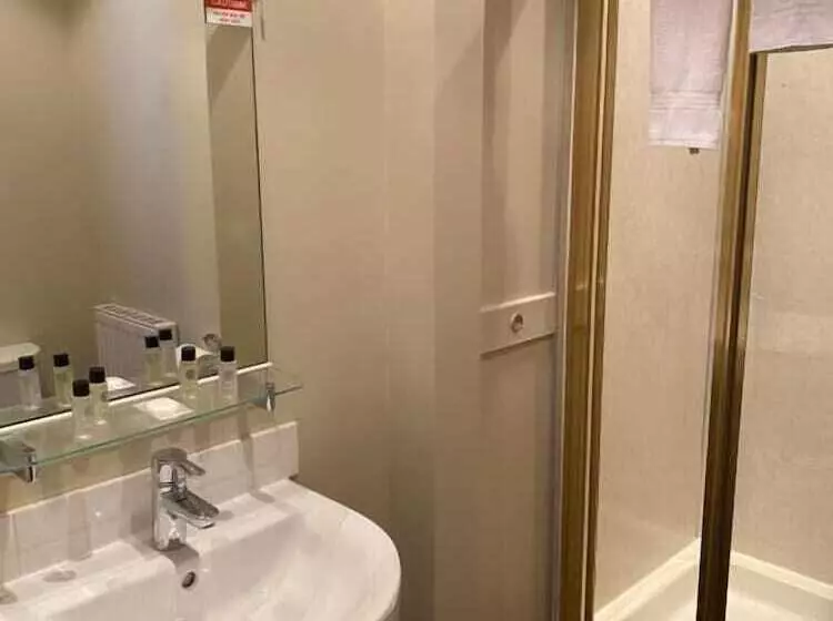 Fotos del hotel The Globe Inn:  6