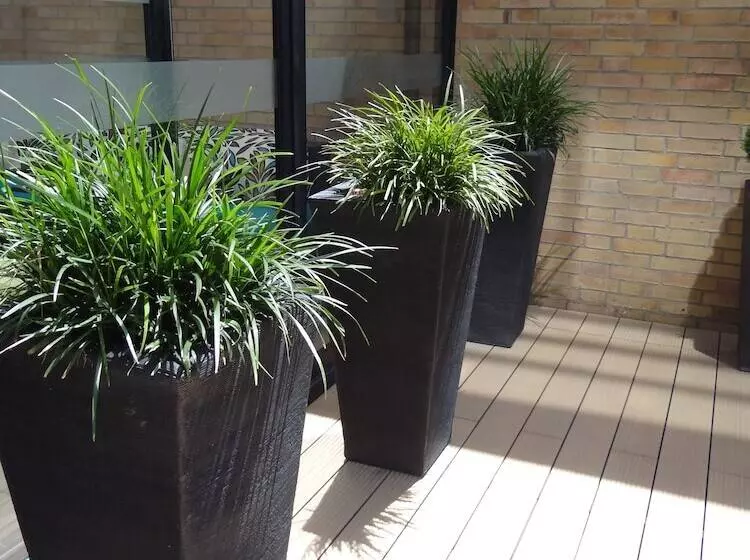 Fotos del hotel Bh Parque 93:  10