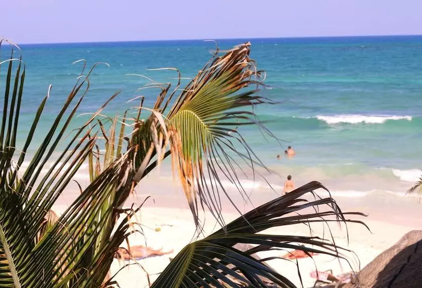 Fotos del hotel Punta Piedra Beach Posada:  10