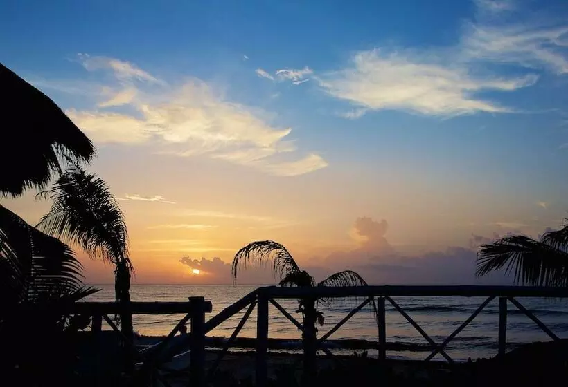 Fotos del hotel Punta Piedra Beach Posada:  18