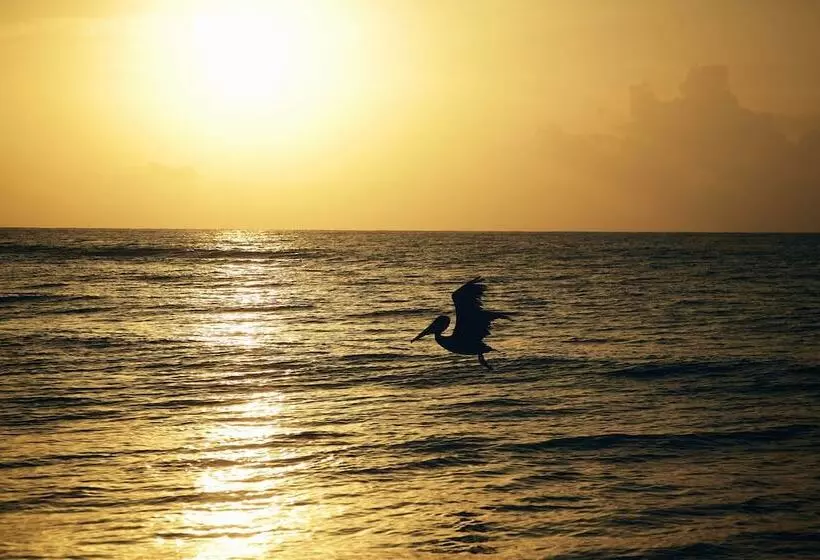 Fotos del hotel Punta Piedra Beach Posada:  6