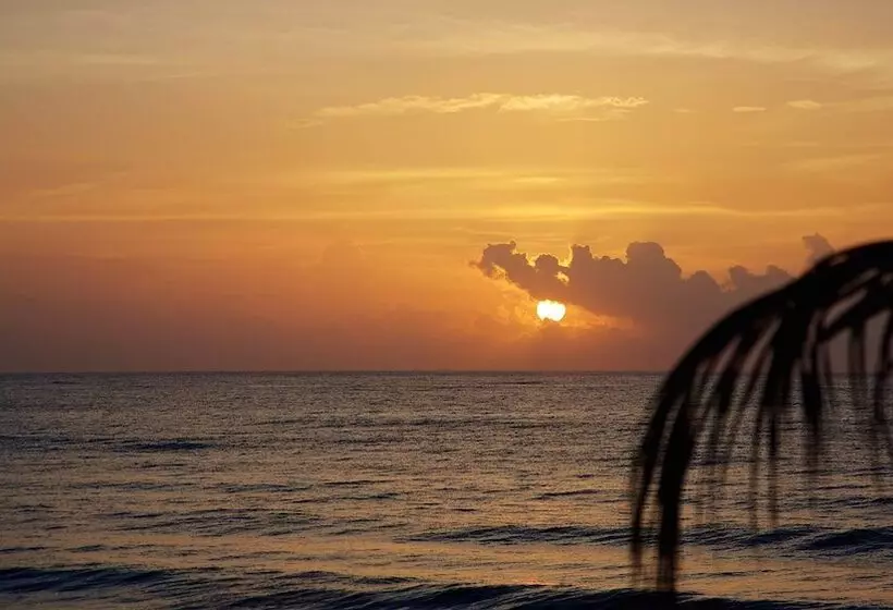 Fotos del hotel Punta Piedra Beach Posada:  4