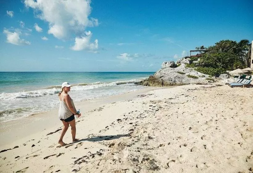 Fotos del hotel Punta Piedra Beach Posada:  17