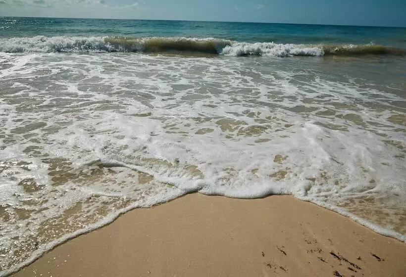 Fotos del hotel Punta Piedra Beach Posada:  13