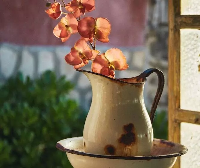 Fotos del hotel Punta Piedra Beach Posada:  5