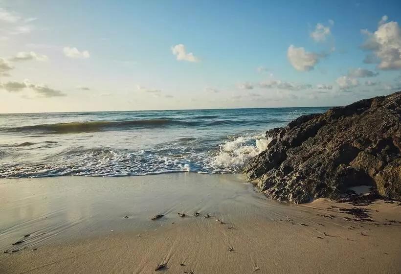 Fotos del hotel Punta Piedra Beach Posada:  23