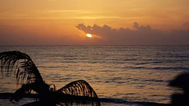 Fotos del hotel Punta Piedra Beach Posada:  16