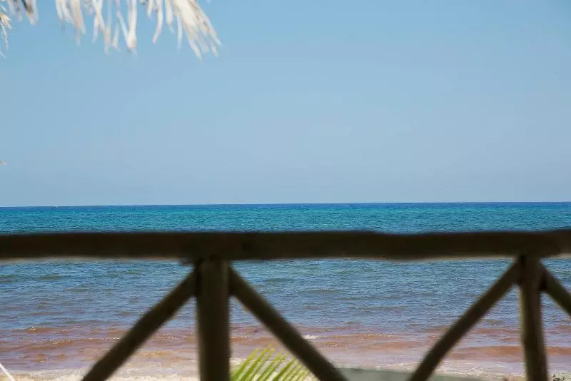 Fotos del hotel Punta Piedra Beach Posada:  12