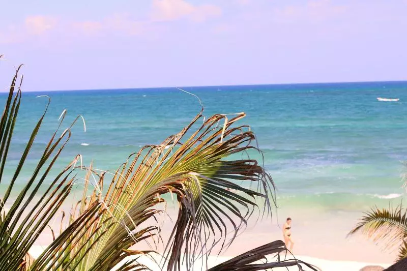 Fotos del hotel Punta Piedra Beach Posada:  14