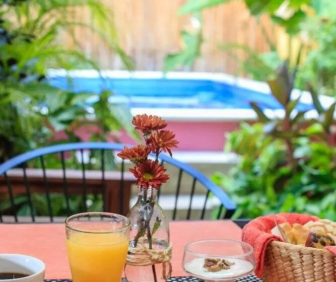 Fotos del hotel Art 57   Adults Only:  8