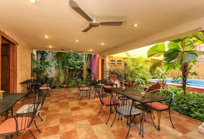 Fotos del hotel Art 57   Adults Only:  11