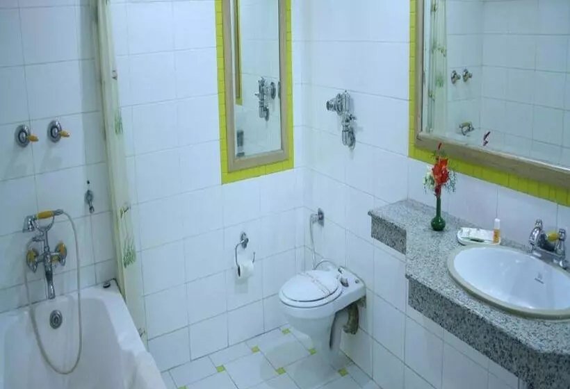 Fotos del hotel Shingar Regency:  7