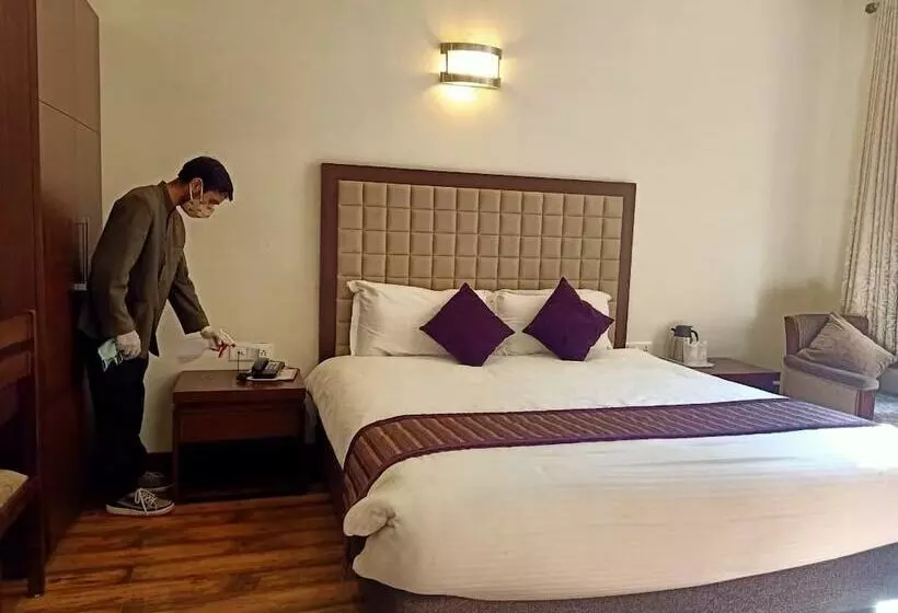 Fotos del hotel Shingar Regency:  13