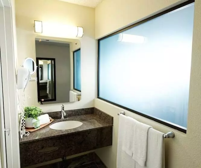 Fotos del hotel Silver Sevens Hotel & Casino:  15