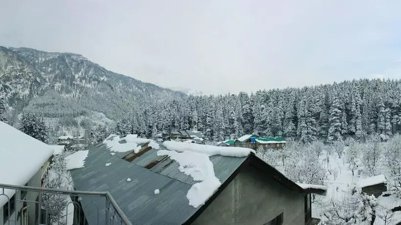 Fotos del hotel The Orchard Greens:  18