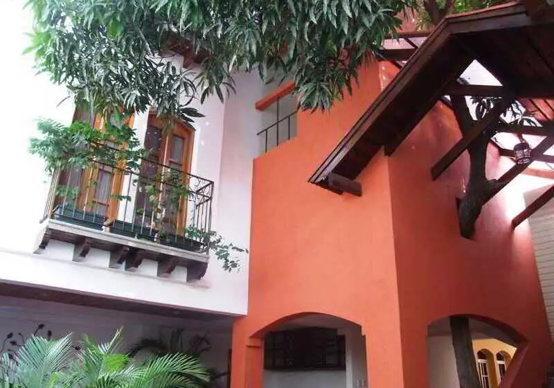 Fotos del hotel Casa Del Arbol Galerias:  8