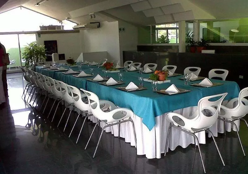 Fotos del hotel Casa Del Arbol Galerias:  4