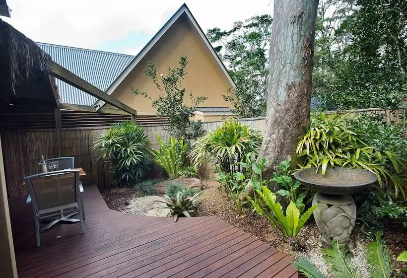 Fotos del hotel Witches Falls Cottages On Tamborine:  13