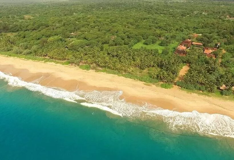 Fotos del hotel Ranna 212:  15