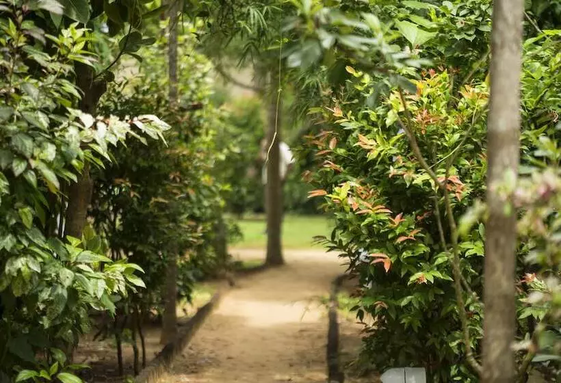 Fotos del hotel Ranna 212:  5