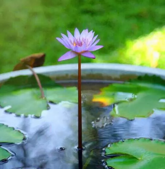 Fotos del hotel Ranna 212:  10