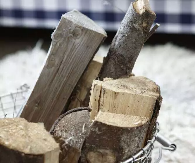 Fotos del hotel Amsterdam Canal:  14