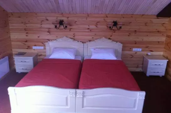 Fotos del hotel Chervona Kalina:  12