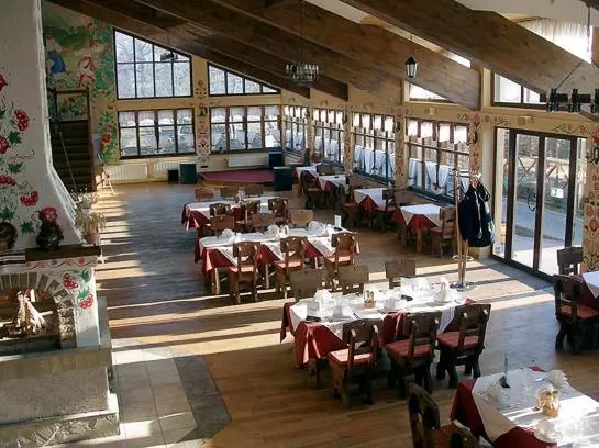 Fotos del hotel Chervona Kalina:  8