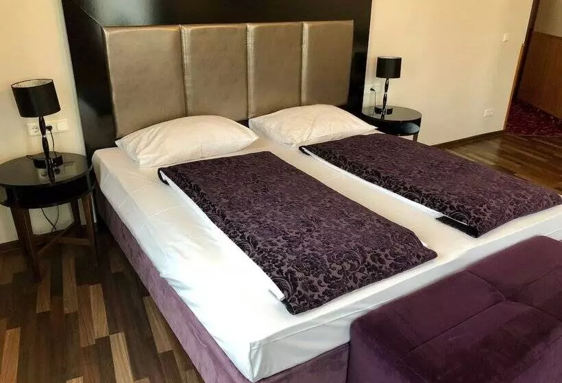 Fotos del hotel Pension Baron Am Schottentor:  17