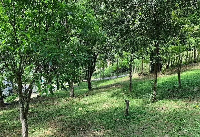 Fotos del hotel Chaweng Park Place:  8