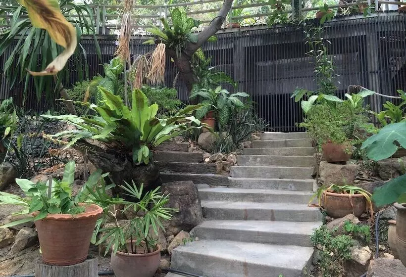 Fotos del hotel Chaweng Park Place:  19