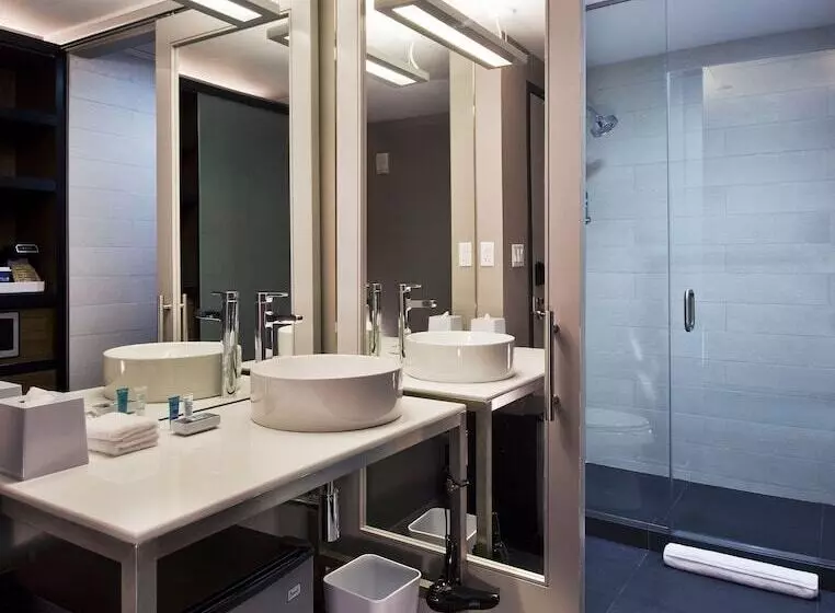 Fotos del hotel Aloft Miami Brickell:  11