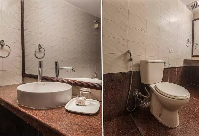 Fotos del hotel Athithi Inn:  8