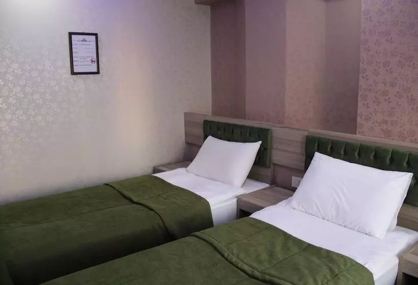 Fotos del hotel Kaya Madrid:  8