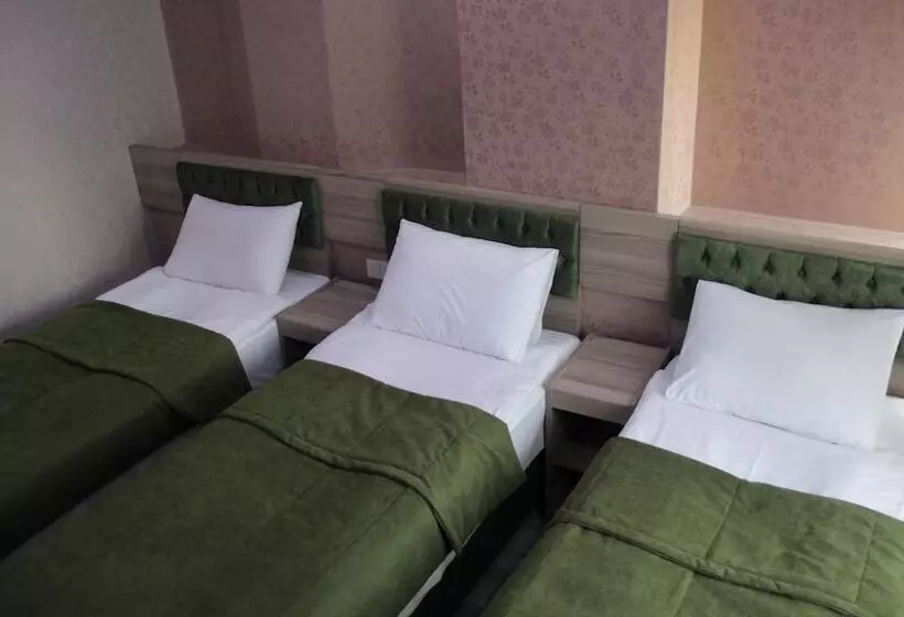 Fotos del hotel Kaya Madrid:  12