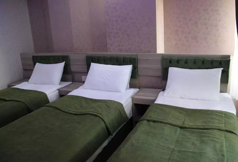 Fotos del hotel Kaya Madrid:  11