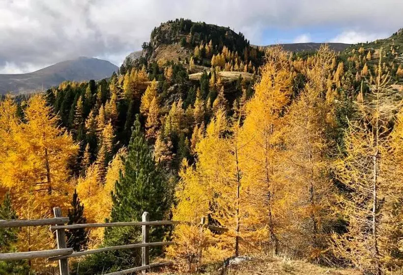 Fotos del hotel Genuss Almrausch:  7