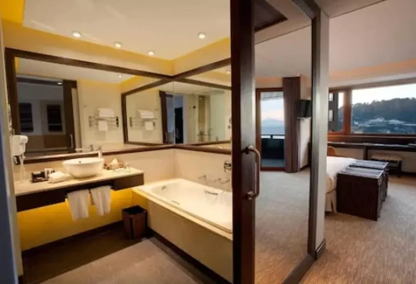 Fotos del hotel Dreams De Los Volcanes Puerto Varas:  17