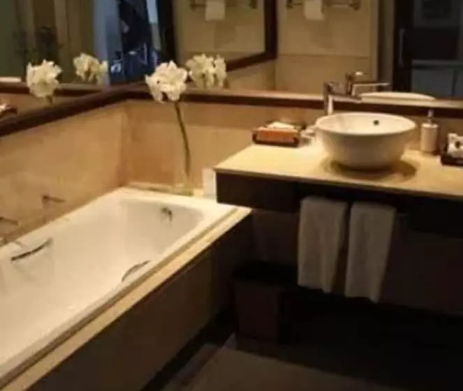 Fotos del hotel Dreams De Los Volcanes Puerto Varas:  14