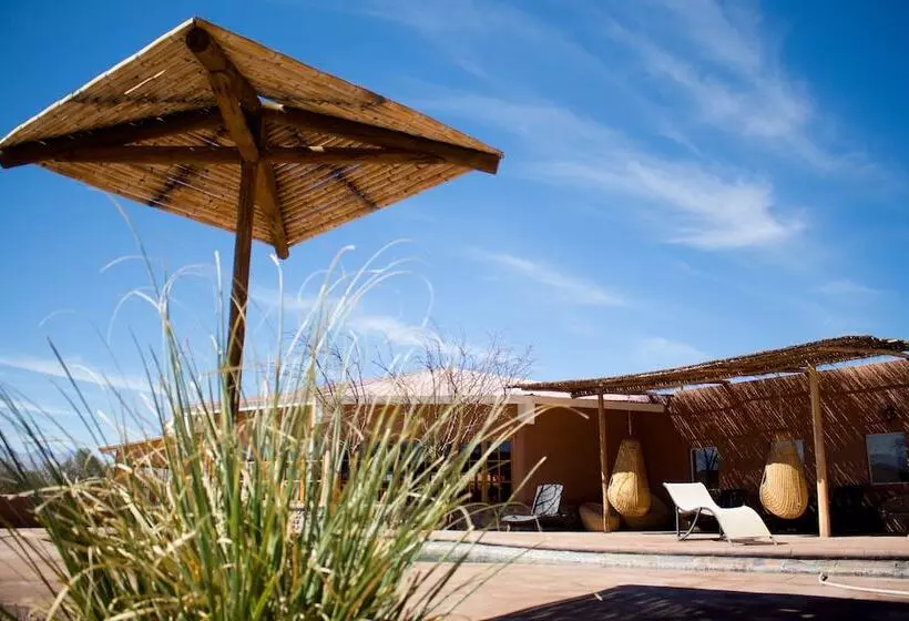 Fotos del hotel Iorana Tolache:  6