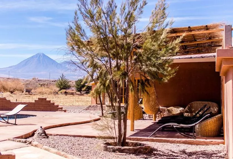 Fotos del hotel Iorana Tolache:  20