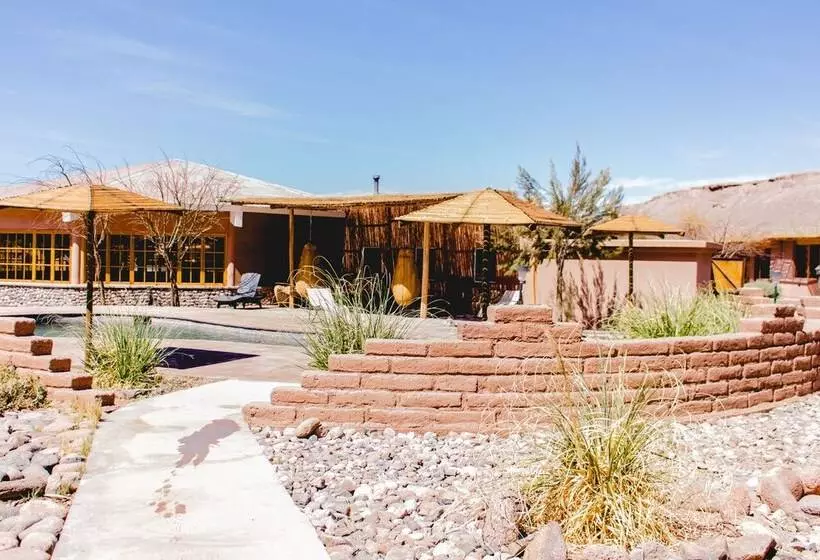 Fotos del hotel Iorana Tolache:  24